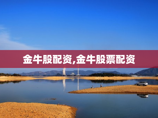金牛股配资,金牛股票配资