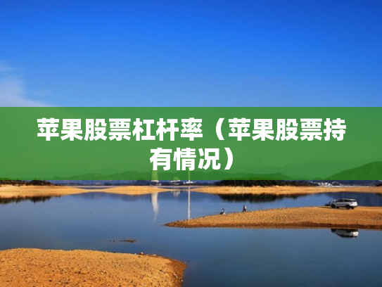 苹果股票杠杆率（苹果股票持有情况）