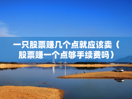 一只股票赚几个点就应该卖（股票赚一个点够手续费吗）