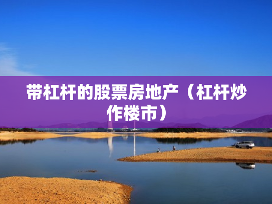 带杠杆的股票房地产（杠杆炒作楼市）