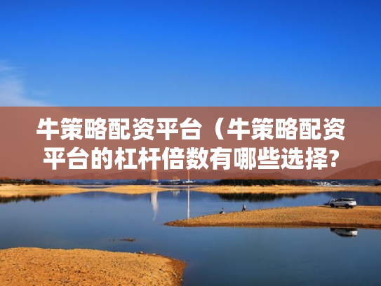 牛策略配资平台（牛策略配资平台的杠杆倍数有哪些选择?）