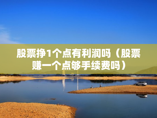 股票挣1个点有利润吗（股票赚一个点够手续费吗）