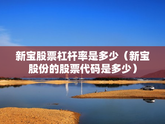 新宝股票杠杆率是多少（新宝股份的股票代码是多少）