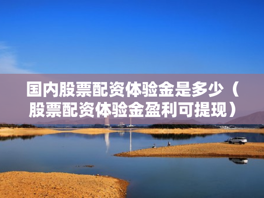 国内股票配资体验金是多少（股票配资体验金盈利可提现）