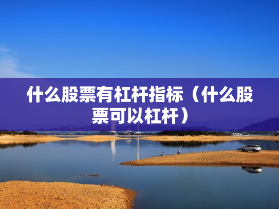 什么股票有杠杆指标（什么股票可以杠杆）
