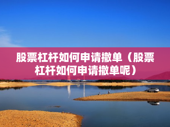 股票杠杆如何申请撤单（股票杠杆如何申请撤单呢）
